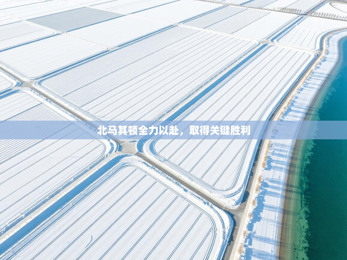 北马其顿全力以赴，取得关键胜利  第2张