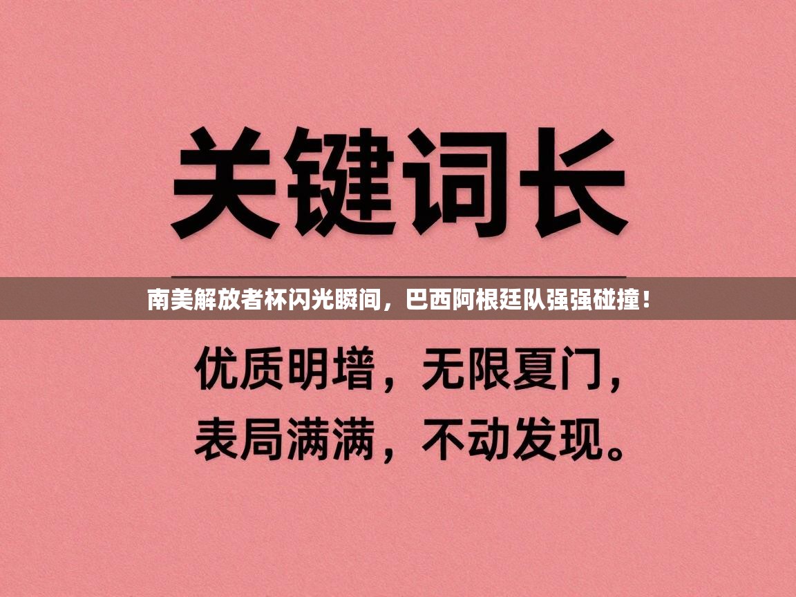南美解放者杯闪光瞬间,巴西阿根廷队强强碰撞! 第2张