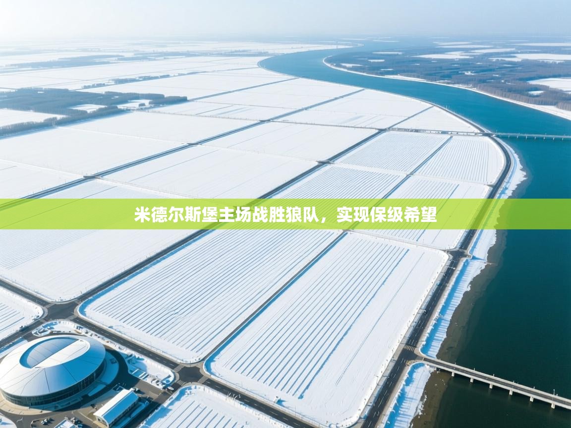 米德尔斯堡主场战胜狼队，实现保级希望  第2张